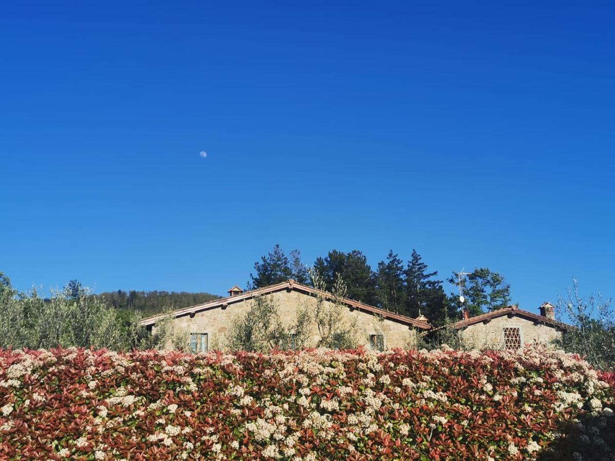 Maison d'hôtes Il Cerro à Pelago Extérieur photo